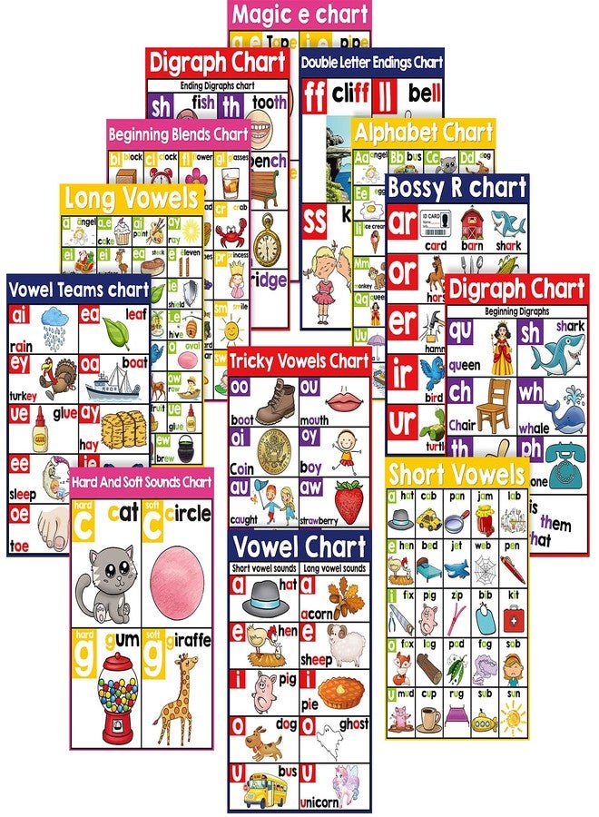 Yisong 13 Pcs English Phonics Poster Language Charts Learning Vowels Posters Alphabet Bulletin Board Set Wall Decoration (16 x 11 Inch) - Image 1